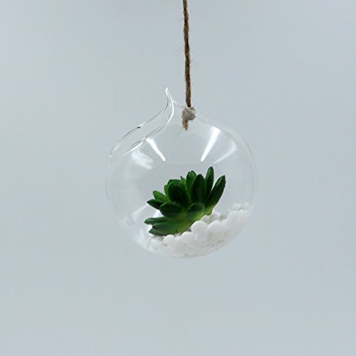 hodgea Creative zum Aufhängen Glas Kugel Vase Transparent Kultur Blume Home Hochzeit Dekoration, Glas, style 2 - 5