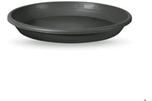 BLIM Veca Soucoupe cylindre Anthracite 28 cm Pour pot de fleurs 30 cm