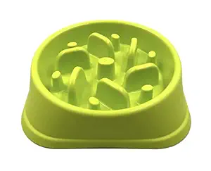 24x7 eMall Slow Feeding Bowl for Dogs (Green)