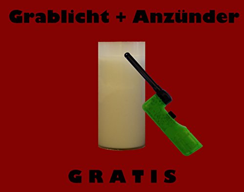 ♥ GRABLAMPE GRABLATERNE MIT ENGEL incl.GRABKERZE 36,0cm ♥ GRABSCHMUCK HERZ GRABLEUCHTE FRIEDHOF GRABLICHT - 4