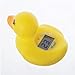 Dreambaby Bath Duck Thermometer