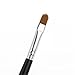 SONGQEE(TM) Cosmetics Professional Makeup Aluminum Tube Lipbrush Lip Brush Silver+ Beauty Makeup Lip Stick Waterproof Lip Pencil Lipstick Lip Gloss Lip Pen