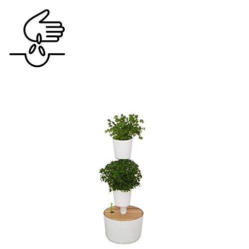 Kit Huerto urbano vertical con autorriego digital, blanco, 2 ...