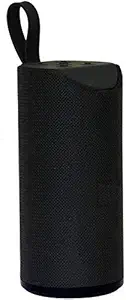 WELROCK TG113 Wireless Bluetooth Speaker (Black)