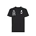 Price comparison product image Mercedes AMG Petronas F1 Mens Driver T-Shirt 2018 L