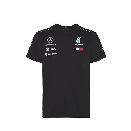 Price comparison product image Mercedes AMG Petronas F1 Mens Driver T-Shirt 2018 L
