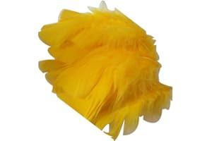 s m sas Environ 25 Plumes Coloris Jaune Deco fête Mariage Costume déguisement