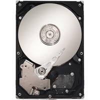 Preisvergleich Produktbild Seagate ST3160215AS Barracuda7200.10 160GB Festplatte