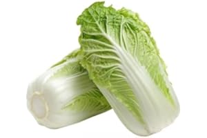 Swathi Fresh Chinese Cabbage Crisp and Tender Leaves Ideal for Salads and Soups Farm Fresh Healthy Cooking 1kg