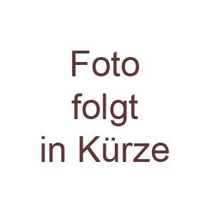 ZADA Beauty l Leere Mascara Tube l Wimpernbürste l Transparent l Empty Tube l Bottle l Container l Flasche l Rizinusöl l Leere Wimperntusche l 10 ml l Mascara Pinsel