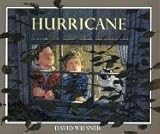 Cover zum Buch Hurricane