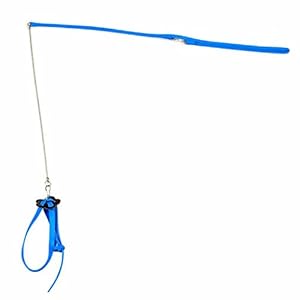 NaiCasy Bird Correo del arnés elástico Auto-Ajustable Correa de mordida Resistente a Medio Corella Loros y cotorras Aves de Gran tamaño – Azul, Pequeño zootovarova