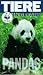 Produktbild Tiere in Gefahr - Pandas [VHS]