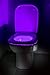 Produktbild Auraglow LED Toilette Nachtlicht mit Farbänderung und Bewegungssensor Toilettenlicht Üben Töpfchen
