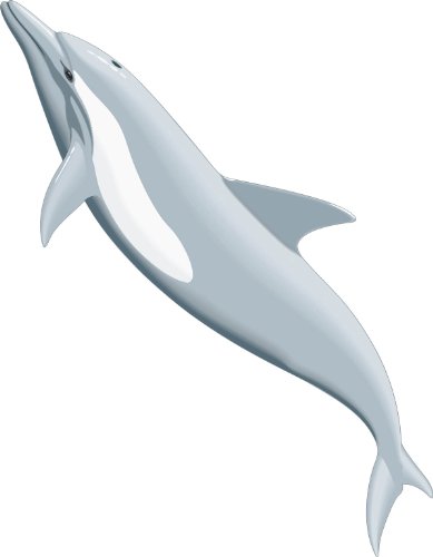 Delfin 29 x 20 cm groß selbstklebend auf Wand, Fenster, Spiegel, Auto, Laptop, Möbel……