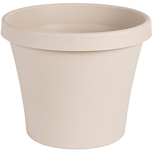 Amazon.co.uk 6 inch clay pots
