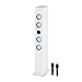 Price comparison product image OneConcept Tallboy • Karaoke machine • Karaoke player • Bluetooth • 2 x cable microphone • 1000 mAh battery • Radio tuner • USB port • MP3-compatible • AUX-IN • LED lighting effects • White