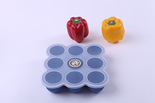 Gefrierbehälter zum Einfrieren und Aufbewahren von Babynahrung/Babykost und als Behälter für Babybrei. - 9