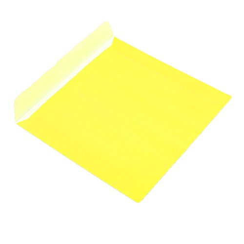 Gazechimp 100 Stk. CD DVD Halter Papier Aufbewahrungs Tasche , Selbstklebend Hülsen – Gelb - 2