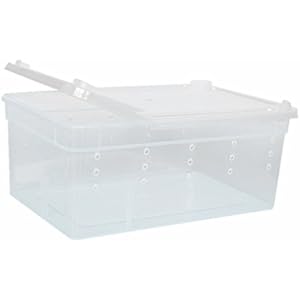 Wasserreptil Zuchtbox Transportbox Fütterung Brutbox für Terrarium Aquarium Reptil Tank - Weiß, 19x12.5x7.5cm