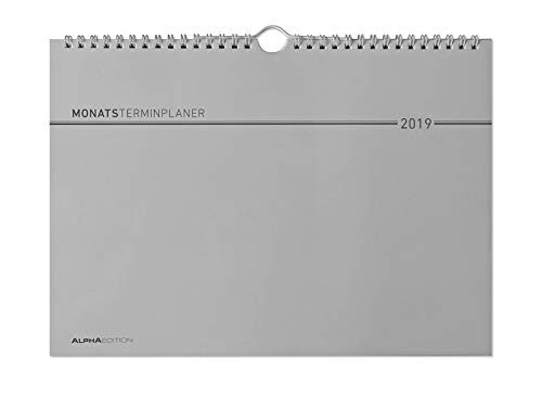 Monatsplaner Wire-O / Ringbindung 2019 - Wandkalender / Bürokalender (30 x 21) - Jahresüberblick - Ferientermine