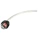 Produktbild nbms Carburetor Primer Bulb mit 13cm treibstoff Rohr Linie zum ryobi