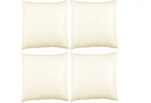 Federkissen 40x40cm 50x50cm 30x50cm 80x80cm Kissenfüllung, Innenkissen, Kissen Füllung Füllkissen /Federkissen/Sofakissen deutsche Produktion von Mack (4, 40x40cm)