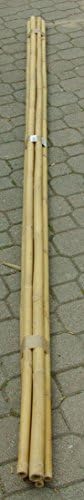 Bamboo Canes For Supporting Vegetables and other uses, 240 cm