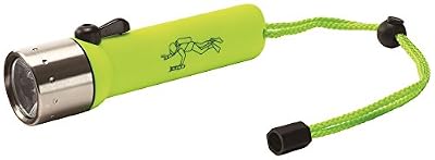 Ledlenser D14.2 Neon torche Box
