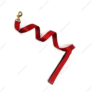 Petlicious & More Tough Nylon Padded Handle with Brass Lock 3 Ft Dog Short Leash - Red