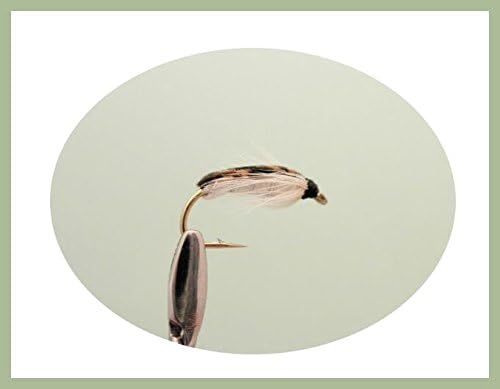6 Pack of Corixa Nymph Fly Nymph Trout Fishing Flies, Choice of Sizes (All Mixed)