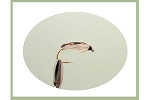 TROUTFLIES UK NYMPH FLIES Corixa Nymph Trout flies, 12 Pack Mixed Size 10/12/14, For Fly Fishing