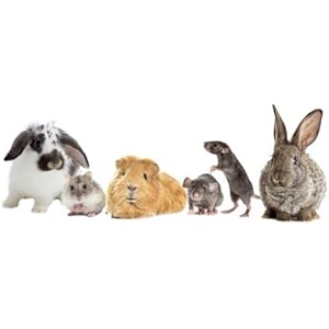 2,5 kg BIO - Strukturheu von ROSS-HEU | Naturland