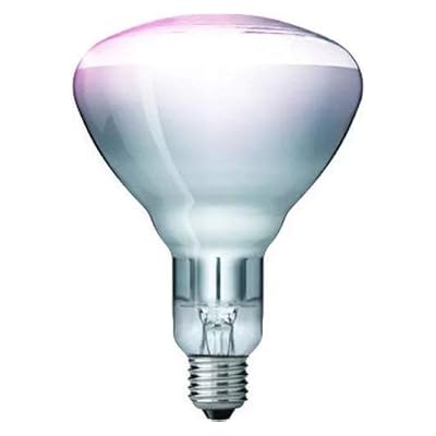 'Kerbl Hard Glass Lamp Philips Clear, 150 W - klar