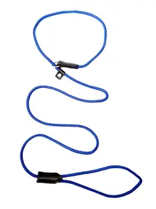 RvPaws Dog Show Leash Cord Type Nylon Leash with Adjustable Loop Training Leash 5 Feet (Blue)