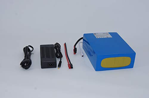 Pedelec Batterie Lithium-ION pour vélo électrique 36 V 16 Ah 576Wh BMS + Chargeur