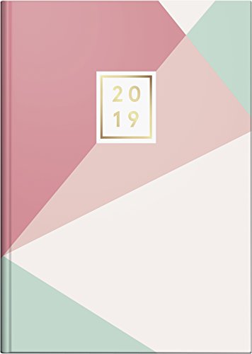 Télécharger Brunnen Buchkalender 2019, Grafik colours A5: 1 Seite = 1 Tag. Modell 795 livre En ligne