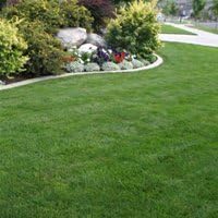 10kg BACKLAWN Hard Wearing Lawn Grass Seed