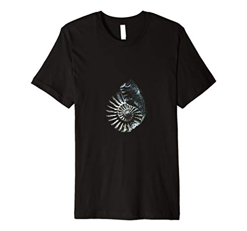 VIDDA TEES UKDinosaur : Ammonite fossil Rock t shirt