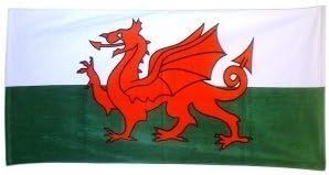 Welsh Wales Cymru Flag Beach bath Towel by welshsuperstore welsh gifts