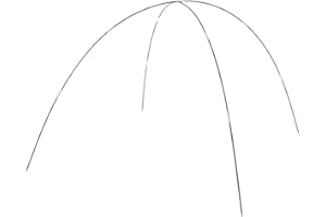 ZYWUOY Varilla de tienda de campaña, 2 piezas de fibra de vidrio plegable de 3,0 m, barra de tienda de campaña, adecuada para camping, viaje, playa, tienda de campaña, barra de soporte