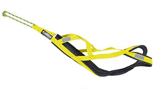 Neewa 8033087538946 - Sled Pro arnés Amarillo Large