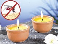 infactory Anti-Mücken-Kerzen in Terrakotta-Schalen, 3er-Pack - 4