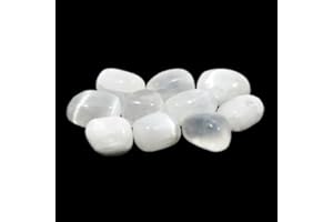 GEOFOSSILS Pietra satinata (20 – 25 mm)