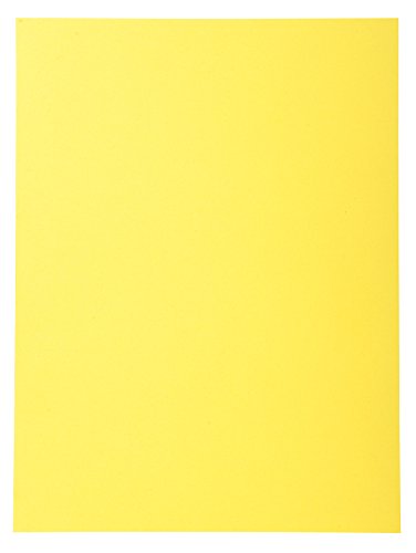 Exacompta 410005E - Lote de 100 Subcarpetas Forever 250 Color Amarillo reviews Exacompta 410005E - Lote de 100 Subcarpetas Forever 250 Color Amarillo