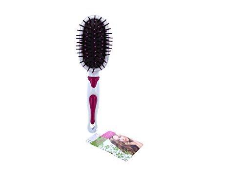 Hair Brush with Comfort Tips - Set of 12 by Kole Imports