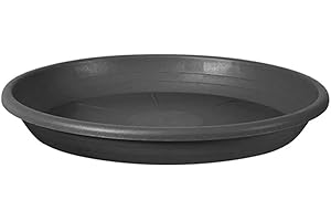 BLIM Veca Soucoupe cylindre Anthracite 25 cm pour pot de fleurs 27 cm