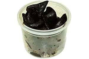 Hymor geschälter schwarzer Knoblauch - 1x 65g Knoblauchzehen - 90 Tage fermentiert Knoblauchzehe Zehe aus violettem Knoblauch Las Pedroñeras Black Garlic schwarz Knoblauch Ajo Negro 100% natürlich