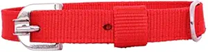 AIK Red Dog Neck Collar,Medium,1 inch