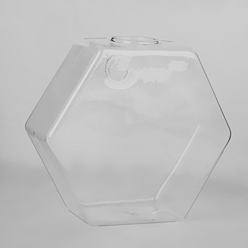 Gazechimp Transparent Sechseckig Form Hängevase Glas Vase Glasvase Blumenvase Wand DIY Balkon Dekoration - 6